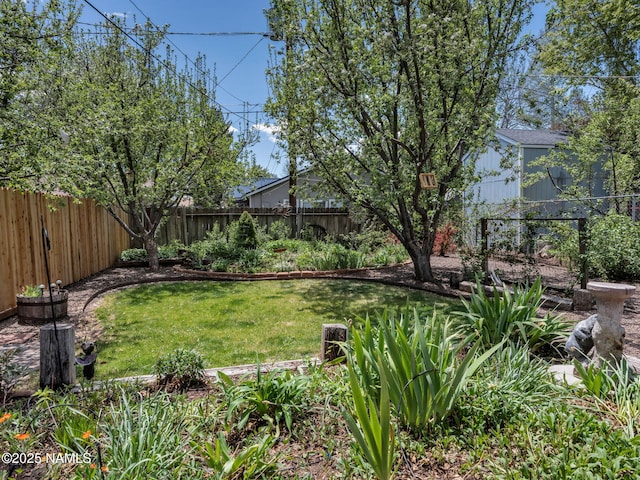 415 W Apache Rd, Flagstaff, AZ 86001 - view of yard