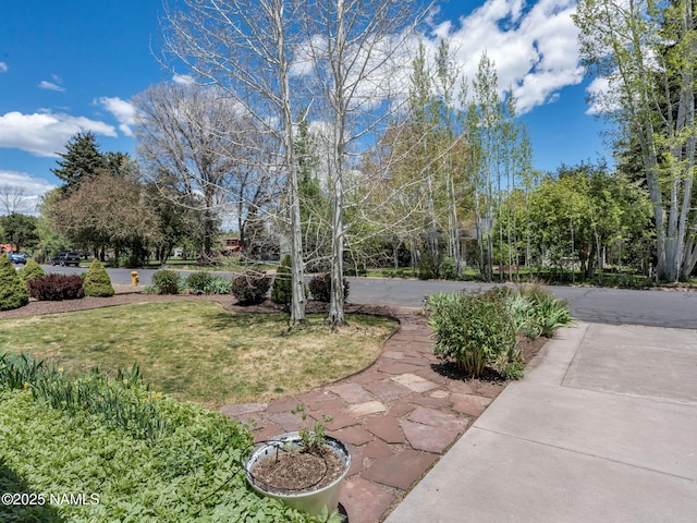 415 W Apache Rd, Flagstaff, AZ 86001 - view of green lawn