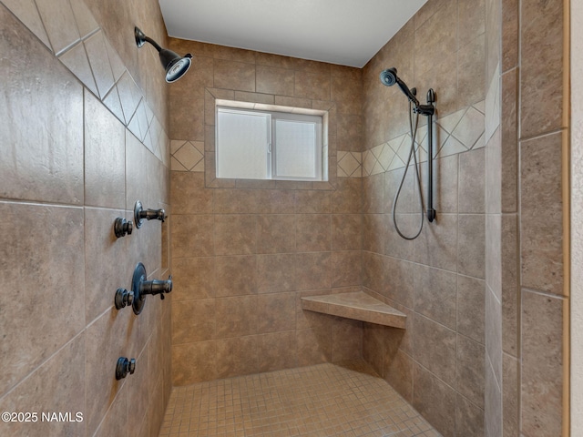 415 W Apache Rd, Flagstaff, AZ 86001 - bathroom featuring a tile shower