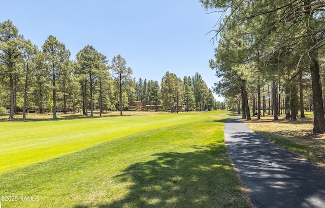 1600 N Fairway Dr, Flagstaff, AZ 86004 - photo 33