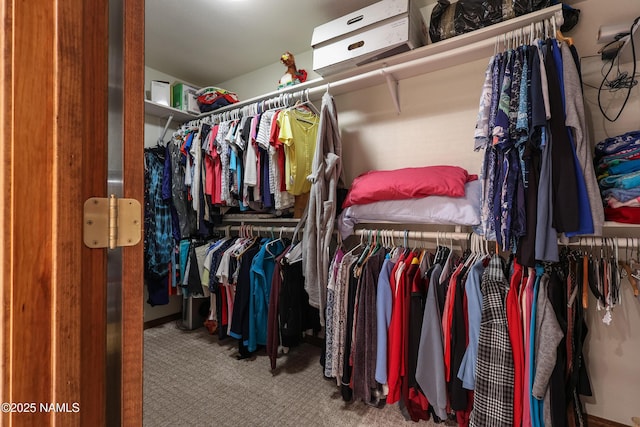 walk in closet with carpet