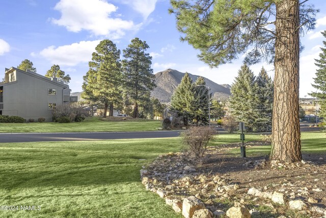 exterior space featuring a mountain view and a yard