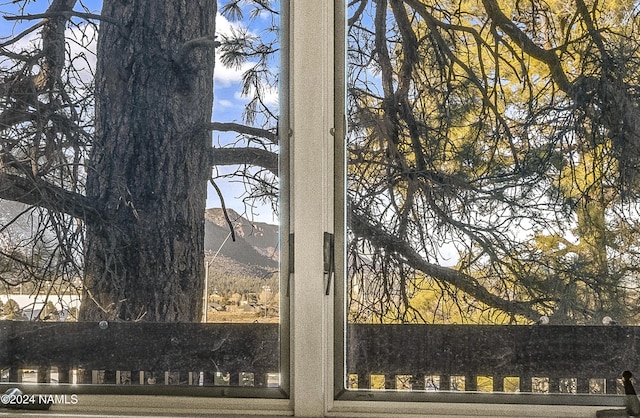 details with a mountain view