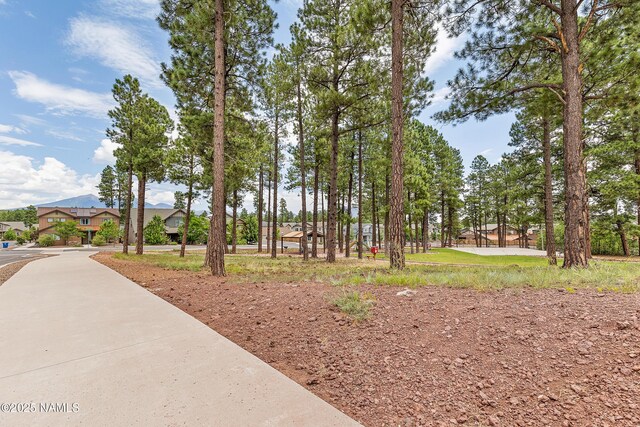 2433 W Bruce Balle Dr, Flagstaff, AZ 86001 - photo 41