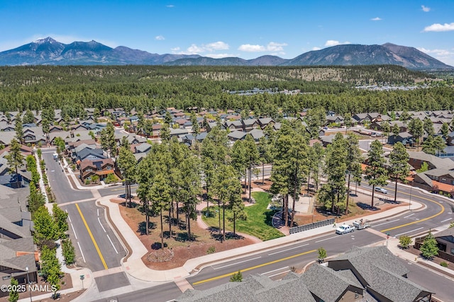 2433 W Bruce Balle Dr, Flagstaff, AZ 86001 - photo 30