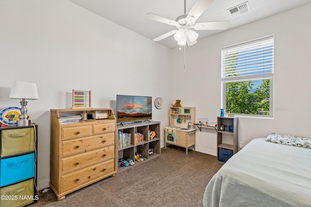 2433 W Bruce Balle Dr, Flagstaff, AZ 86001 - photo 18