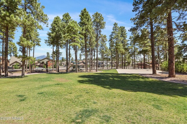 2433 W Bruce Balle Dr, Flagstaff, AZ 86001 - photo 36