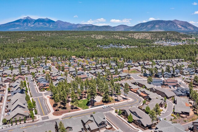 2433 W Bruce Balle Dr, Flagstaff, AZ 86001 - photo 29