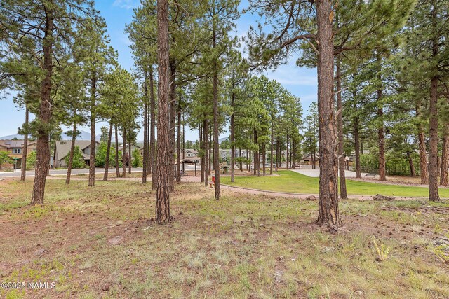 2433 W Bruce Balle Dr, Flagstaff, AZ 86001 - photo 44