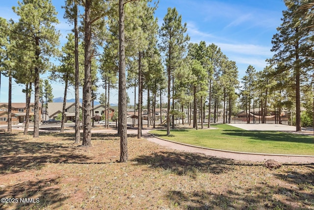 2433 W Bruce Balle Dr, Flagstaff, AZ 86001 - photo 35