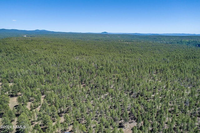 95 E Foxboro Rd Unit 11, Munds Park, AZ 86017 - photo 12
