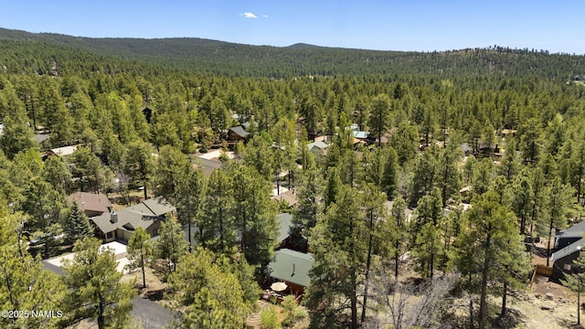 655 E Trout Creek Rd, Munds Park, AZ 86017 - aerial view of a forest