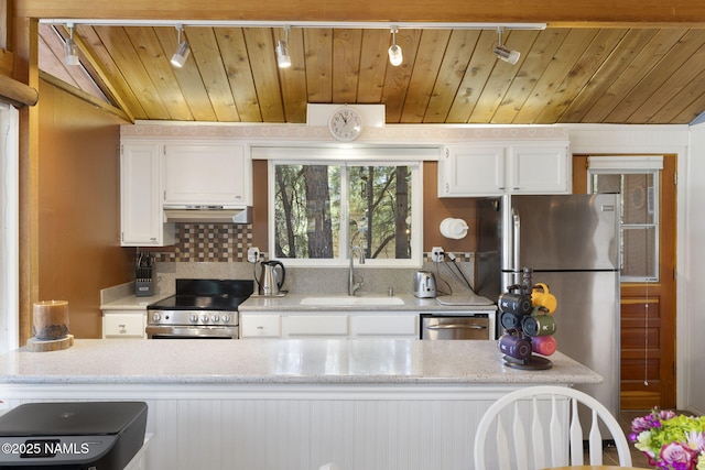 655 E Trout Creek Rd, Munds Park, AZ 86017 - kitchen with a sink, stainless steel appliances, track lighting, wooden ceiling, and under cabinet range hood