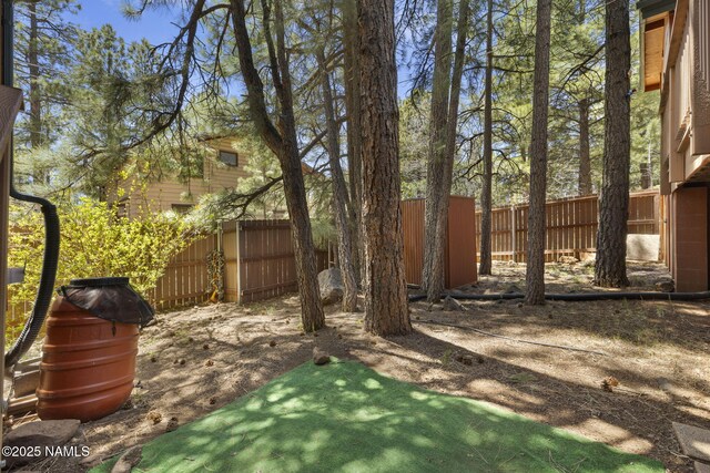 655 E Trout Creek Rd, Munds Park, AZ 86017 - view of fenced backyard