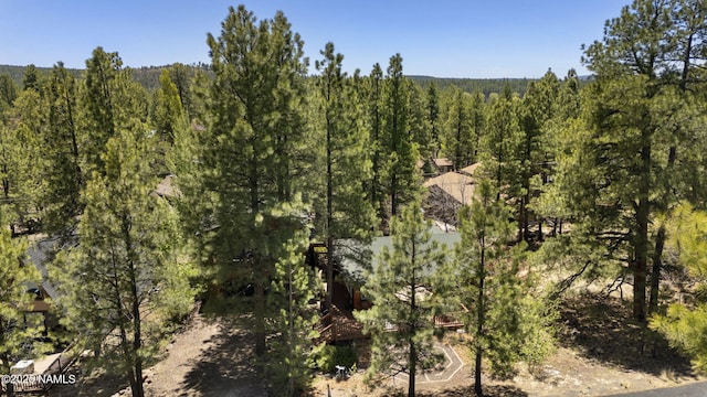 655 E Trout Creek Rd, Munds Park, AZ 86017 - view of tree filled area