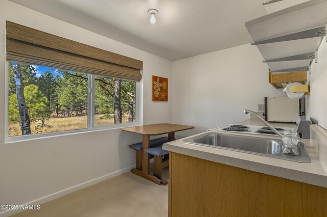 3005 N Fort Valley Rd, Flagstaff, AZ 86001 - photo 43