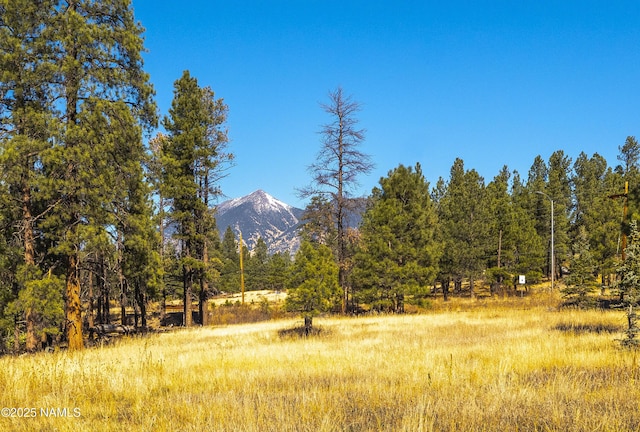 3005 N Fort Valley Rd, Flagstaff, AZ 86001 - photo 67