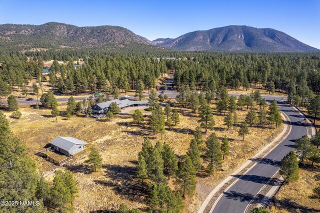 3005 N Fort Valley Rd, Flagstaff, AZ 86001 - photo 57