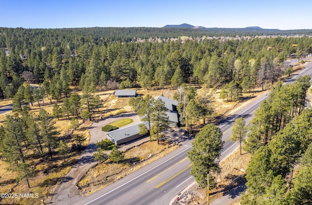 3005 N Fort Valley Rd, Flagstaff, AZ 86001 - photo 53
