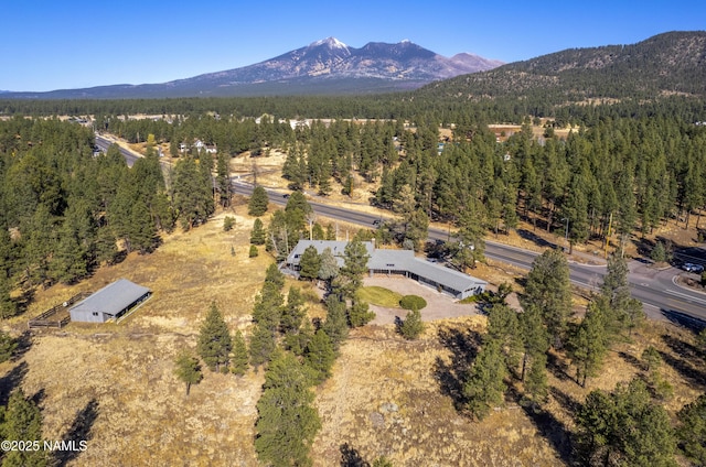 3005 N Fort Valley Rd, Flagstaff, AZ 86001 - photo 56