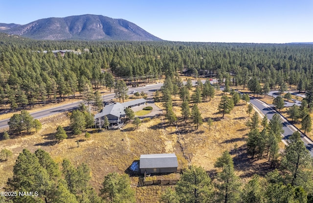 3005 N Fort Valley Rd, Flagstaff, AZ 86001 - photo 58