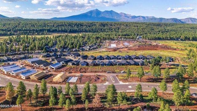 drone / aerial view featuring a mountain view and a view of trees