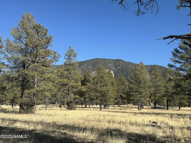 Listing photo 3 for LOT3 N Quintana Dr, Flagstaff AZ 86001