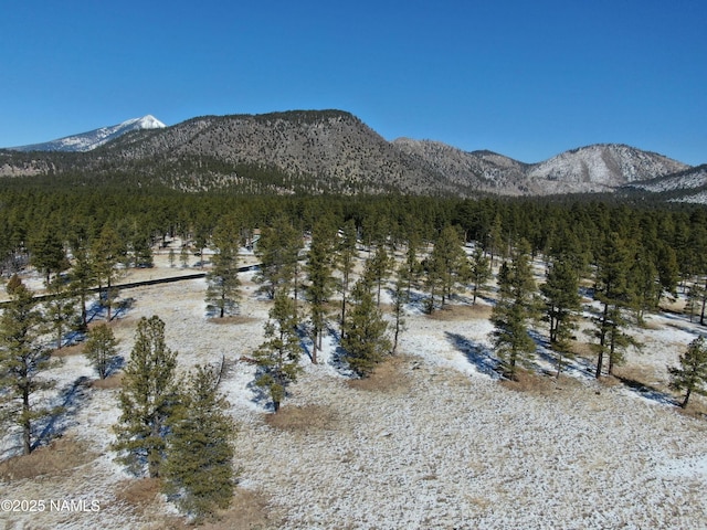 LOT3 N Quintana Dr, Flagstaff AZ, 86001 land for sale