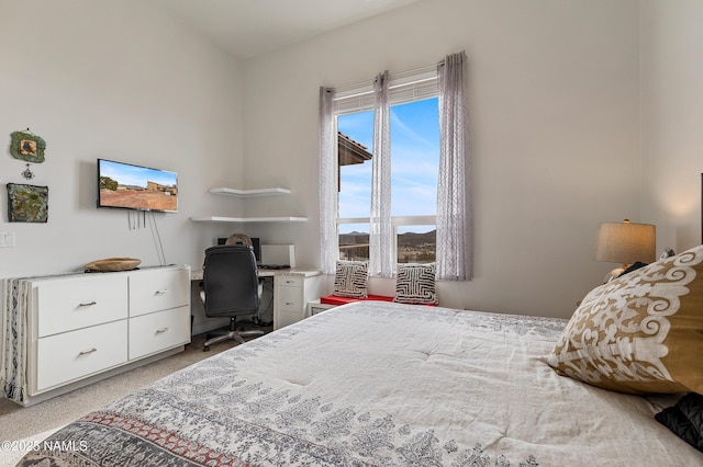 bedroom with light colored carpet