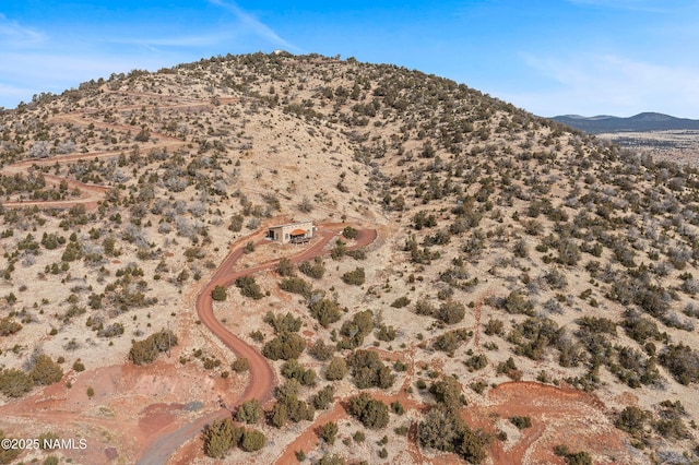 drone / aerial view with a mountain view