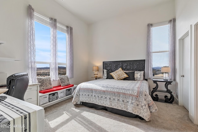 bedroom featuring multiple windows and carpet floors