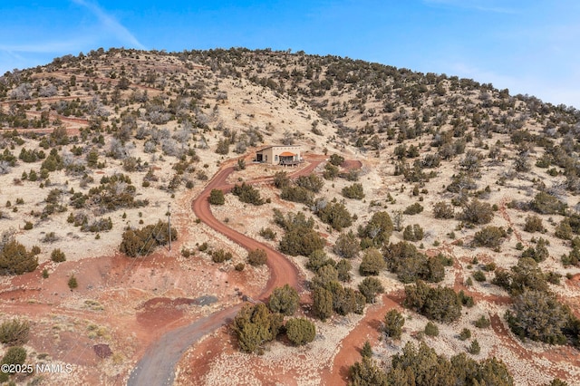 birds eye view of property featuring a mountain view