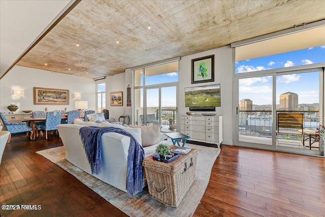 living area with hardwood / wood-style floors and a wealth of natural light
