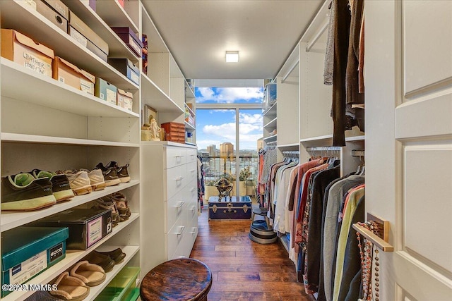 walk in closet with dark wood-style floors