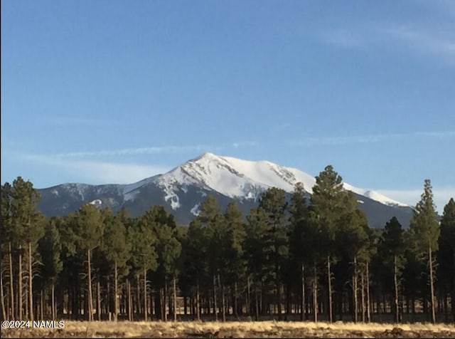 Listing photo 2 for 7199 N Snow Bowl Rd, Flagstaff AZ 86001