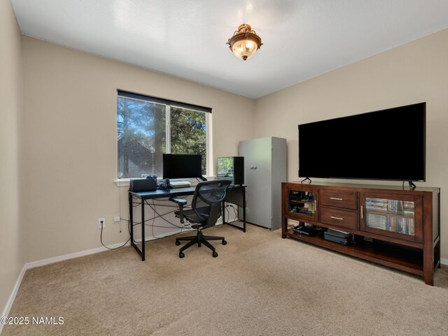 1137 W Weston Trl, Flagstaff, AZ 86005 - photo 18
