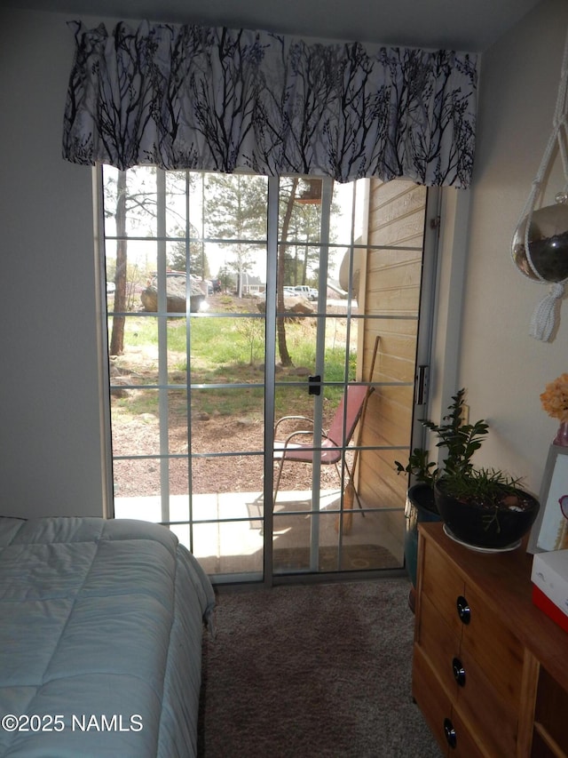 1000 N Beaver St Unit 116, Flagstaff, AZ 86001 - bedroom featuring carpet