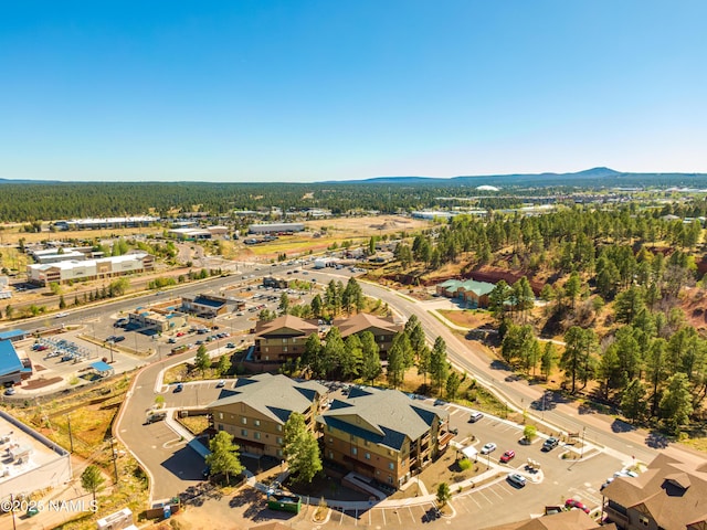 1650 E Ponderosa Pkwy Unit 3213, Flagstaff, AZ 86001 - bird's eye view