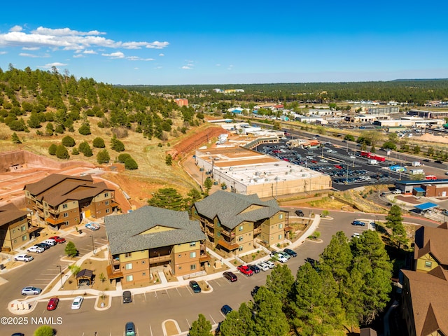 1650 E Ponderosa Pkwy Unit 3213, Flagstaff, AZ 86001 - bird's eye view