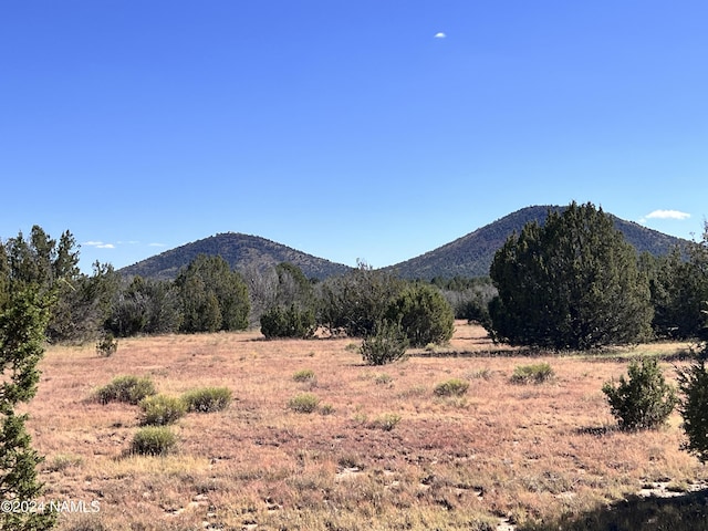 1240 E Utopia Rd, Williams, AZ 86046