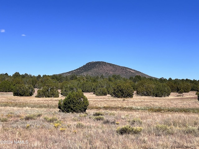 1240 E Utopia Rd, Williams, AZ 86046