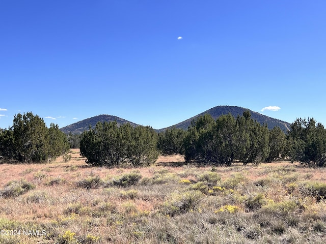 1240 E Utopia Rd, Williams, AZ 86046