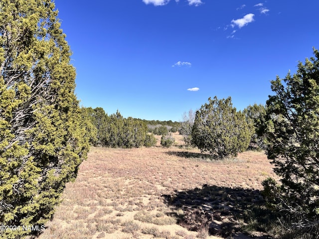 1240 E Utopia Rd, Williams, AZ 86046