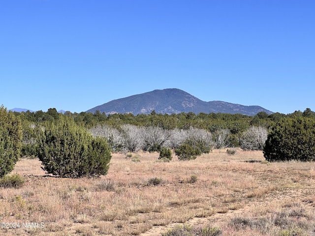 1240 E Utopia Rd, Williams, AZ 86046