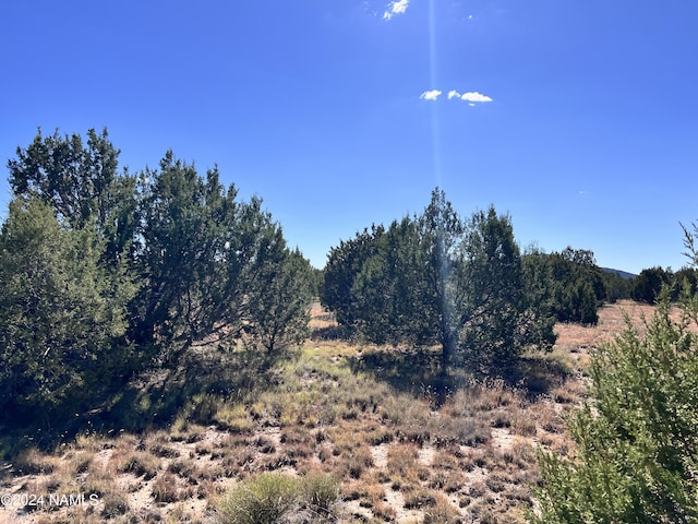 1240 E Utopia Rd, Williams, AZ 86046
