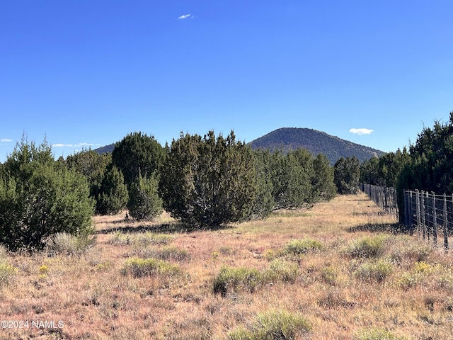1240 E Utopia Rd, Williams, AZ 86046