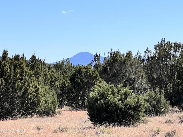 1240 E Utopia Rd, Williams, AZ 86046