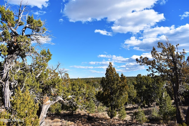 4367 Sunset Ridge Loop, Happy Jack AZ, 86024 land for sale