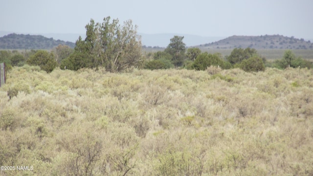 4430 S 2nd Ave, Williams, AZ 86046 - photo 1