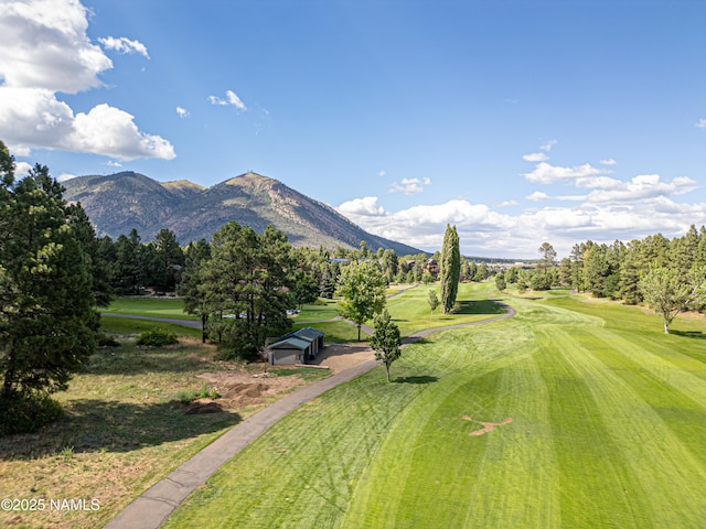 2450 N Earle Dr, Flagstaff, AZ 86004 - photo 33